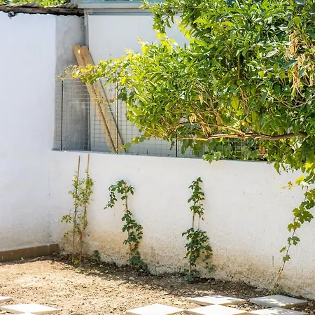 Paisios Retreat Apartment Skopelos Town